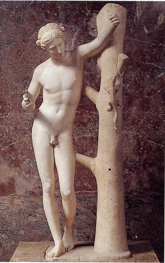 appolonarbre.jpg